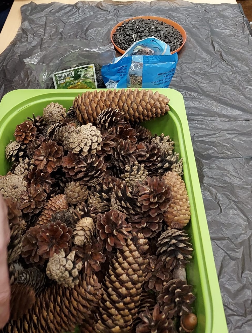 Příprava hostiny pro zvířátka