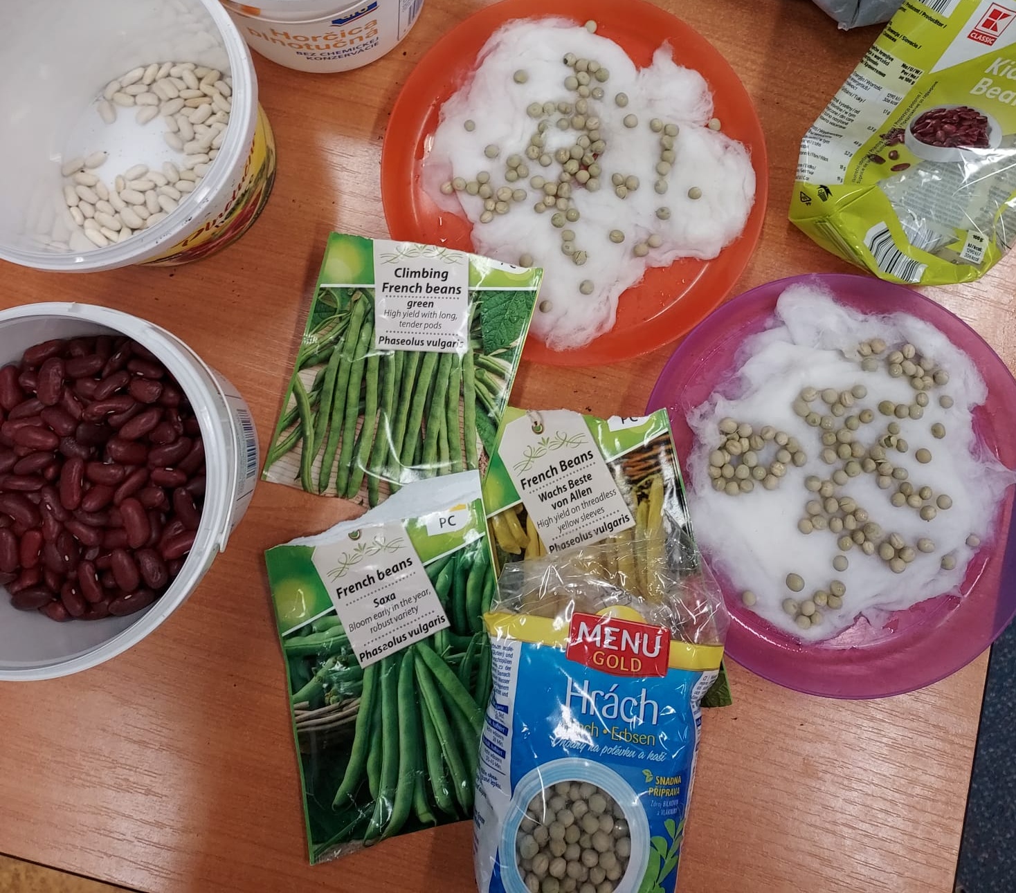 Chvilka zahradničení