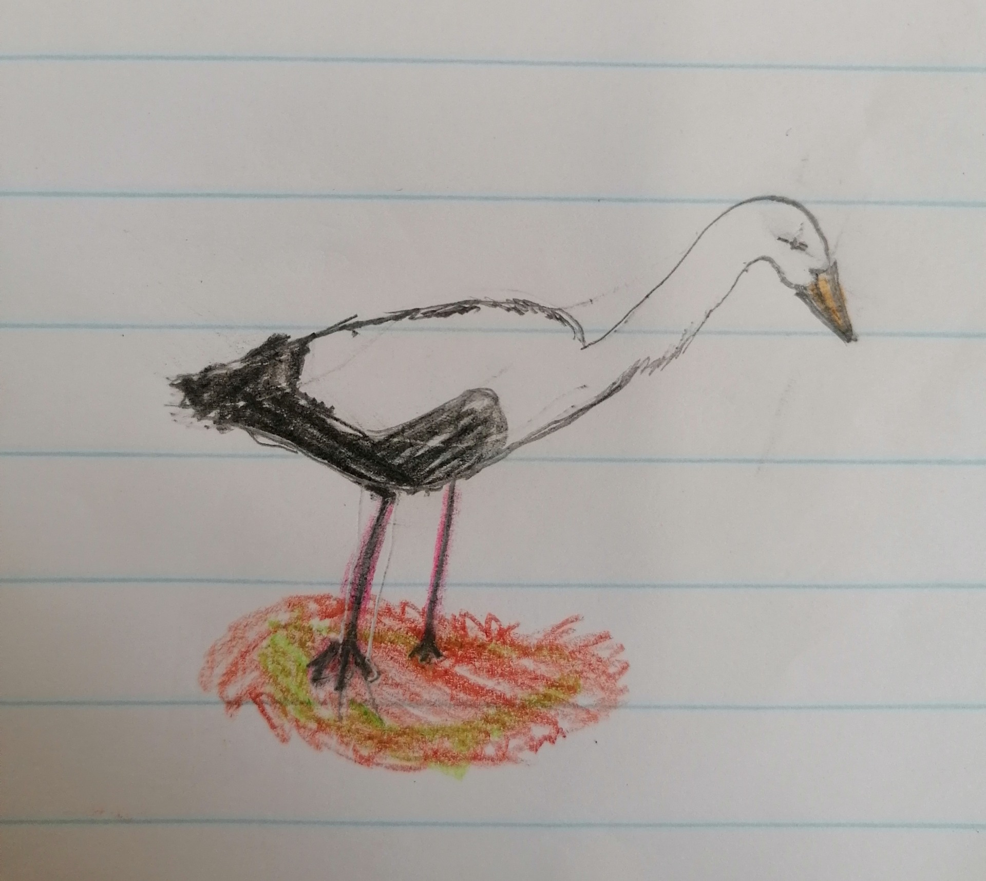 ....a  ilustrace k ní