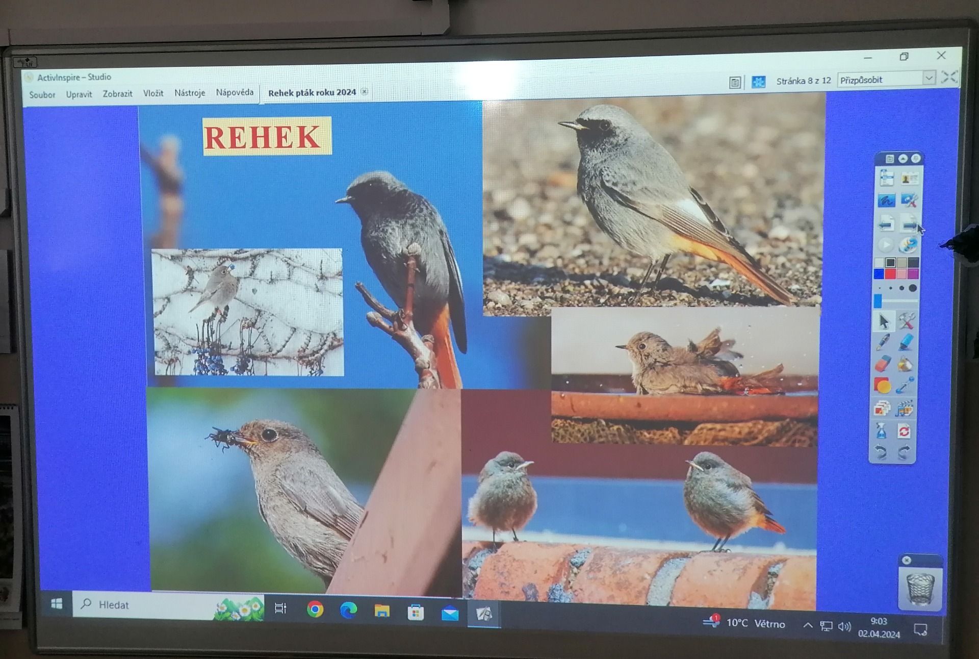 Jsem rehek, pořádně si mě prohlédněte