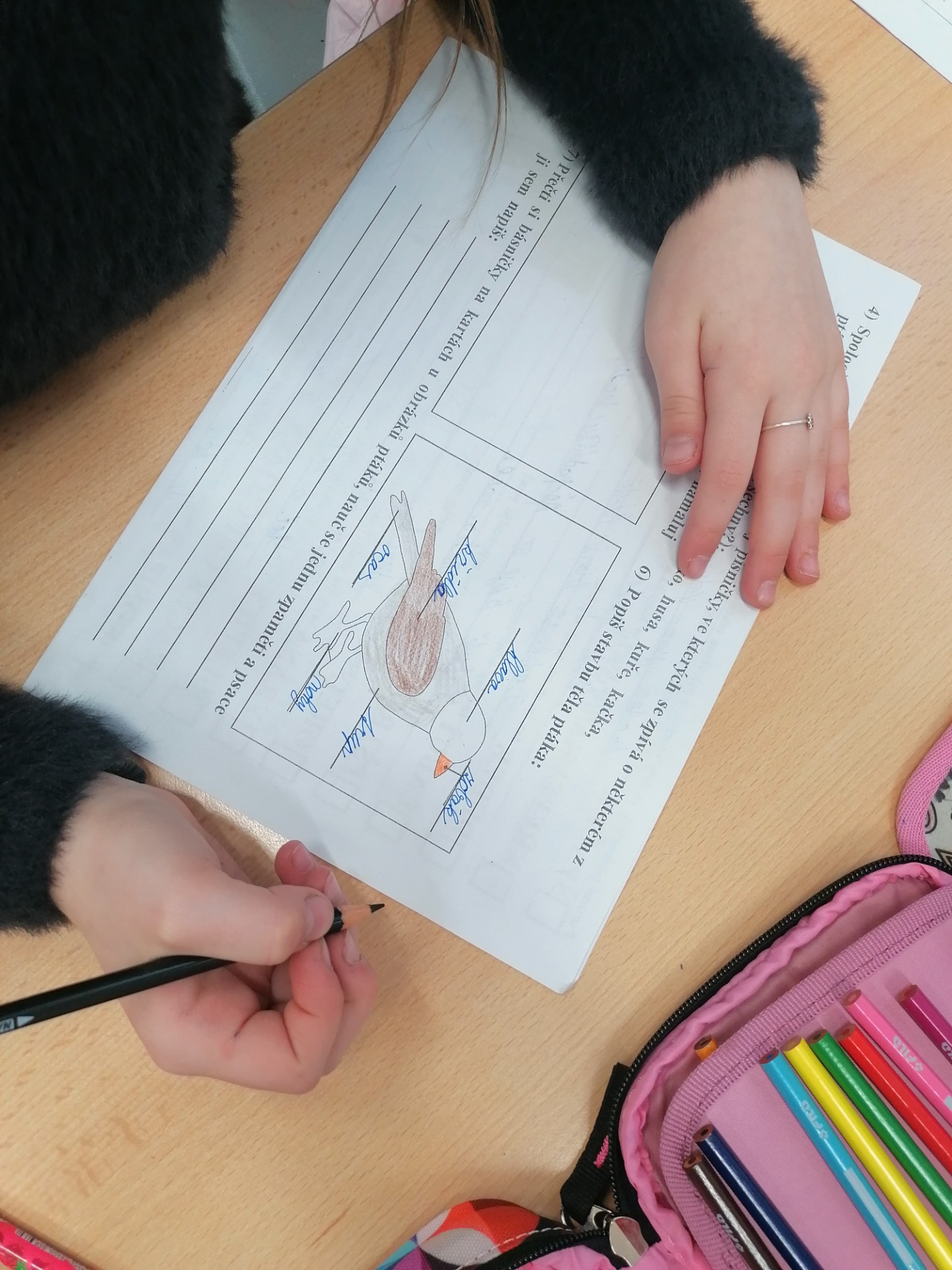 Plnili jsme postupně dva dny