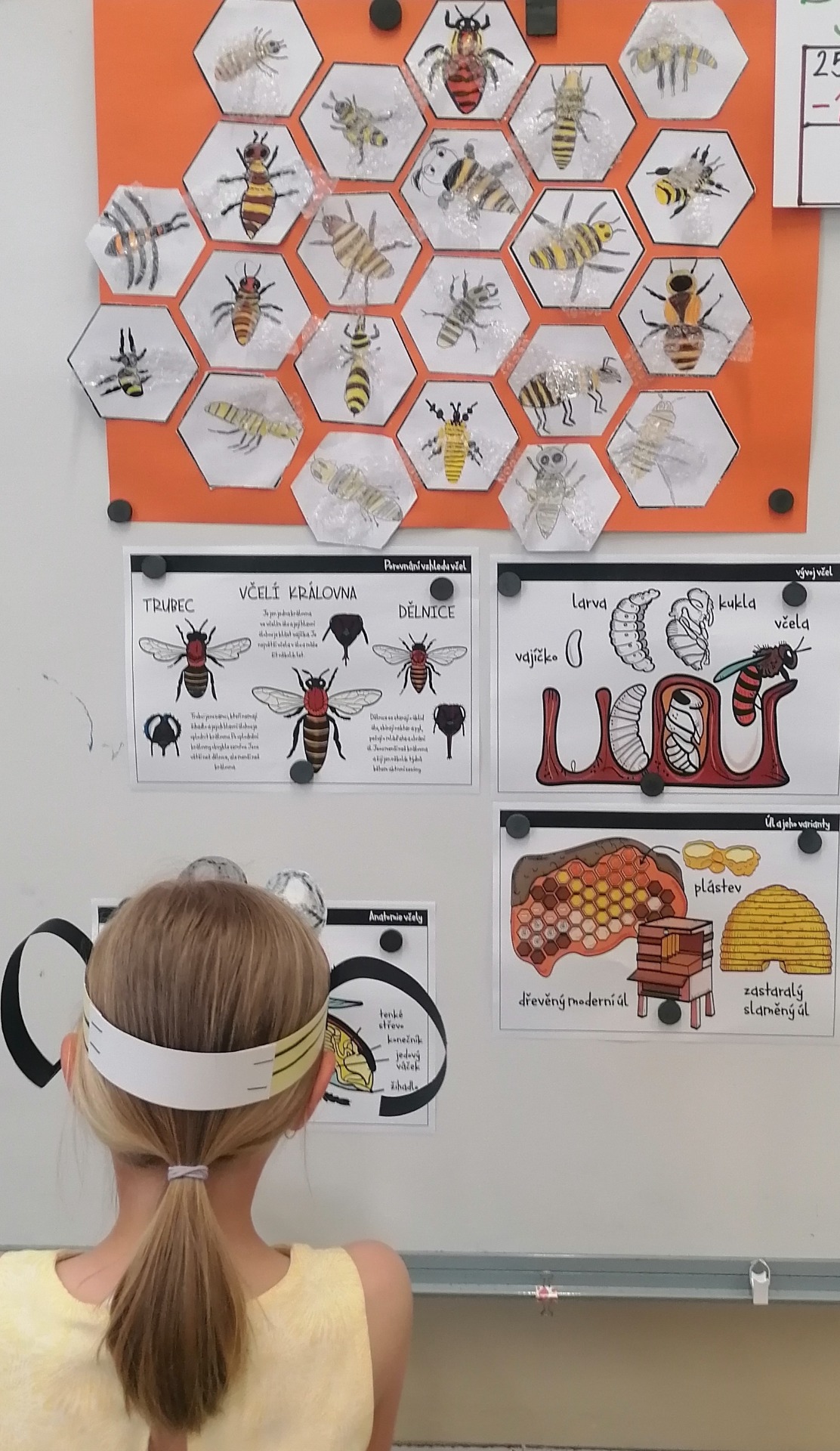 Vyhledávání informací.....