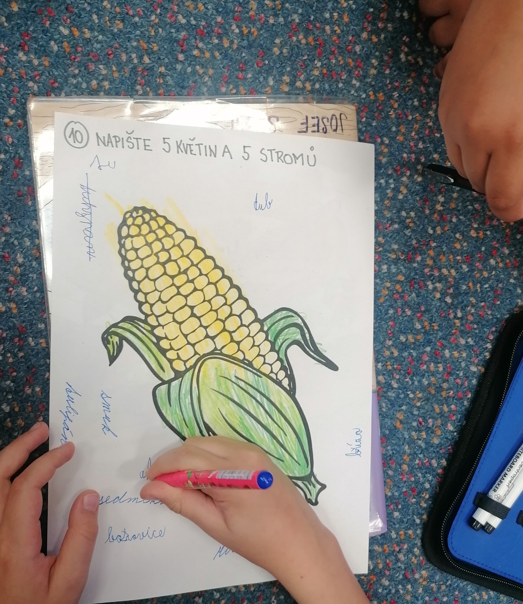 Přemýšlíme, radíme se, píšeme