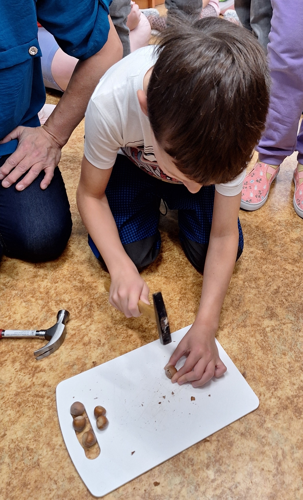 Lískový oříšek.....a pěkně kladívkem rozlousknout. Nebylo to úplně snadné:-)