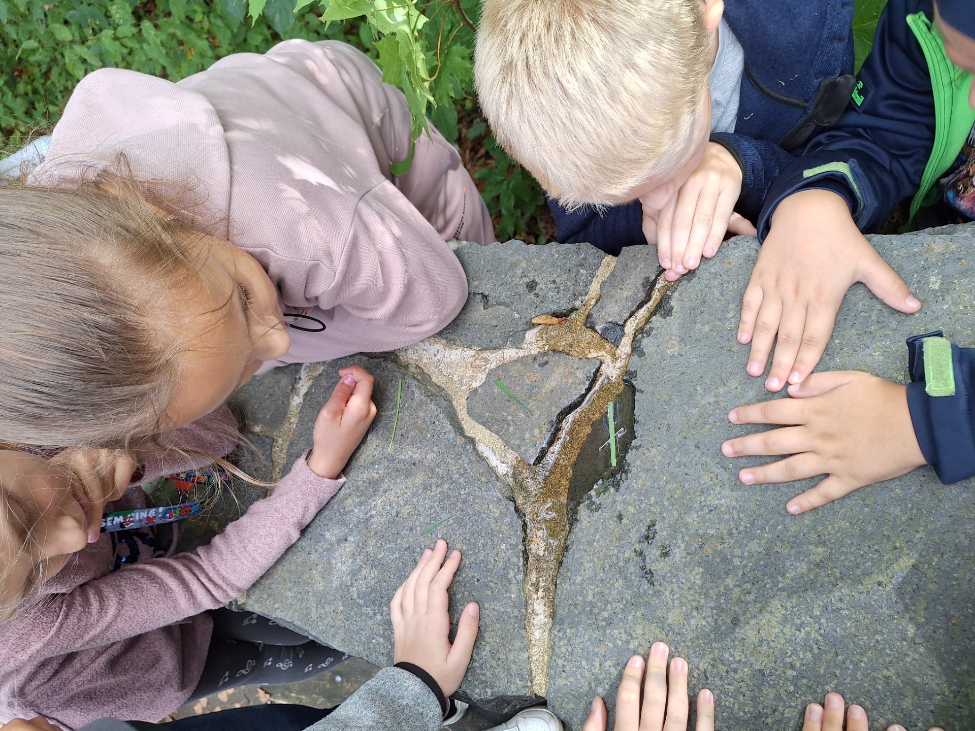 Určení severu pomocí zmagnetizované jehly