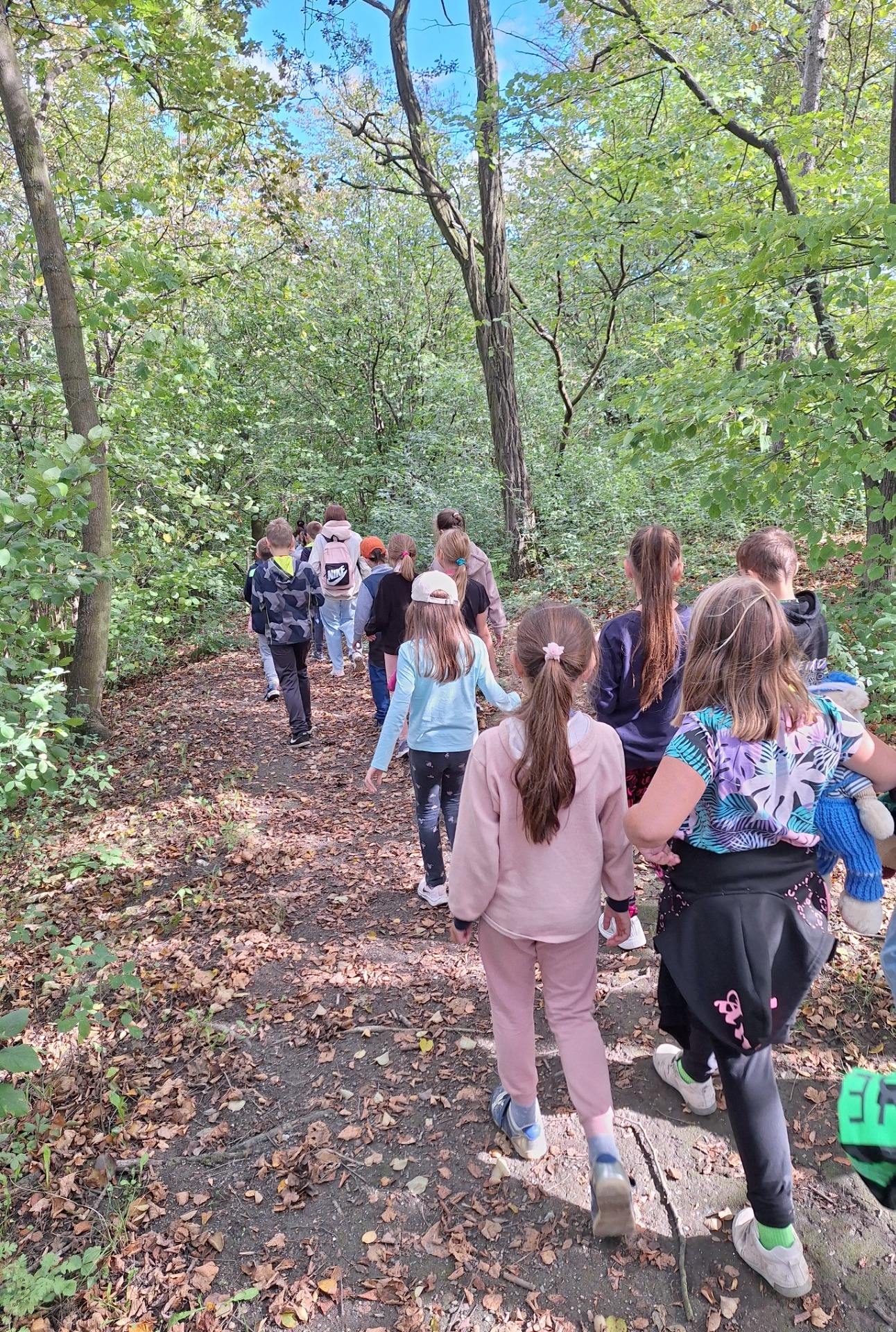 Z kopce se šlo  svižněji než do kopce:-)